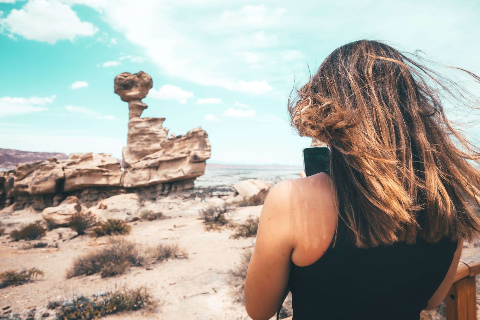 Parque Ischigualasto: Vale da Lua