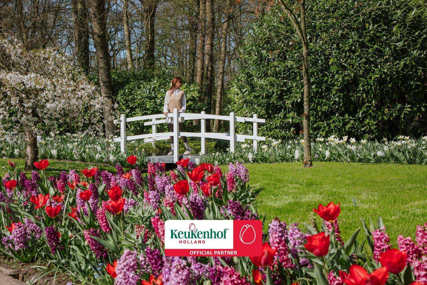 Entrada a Keukenhof y transporte directo desde Ámsterdam - Por la tarde