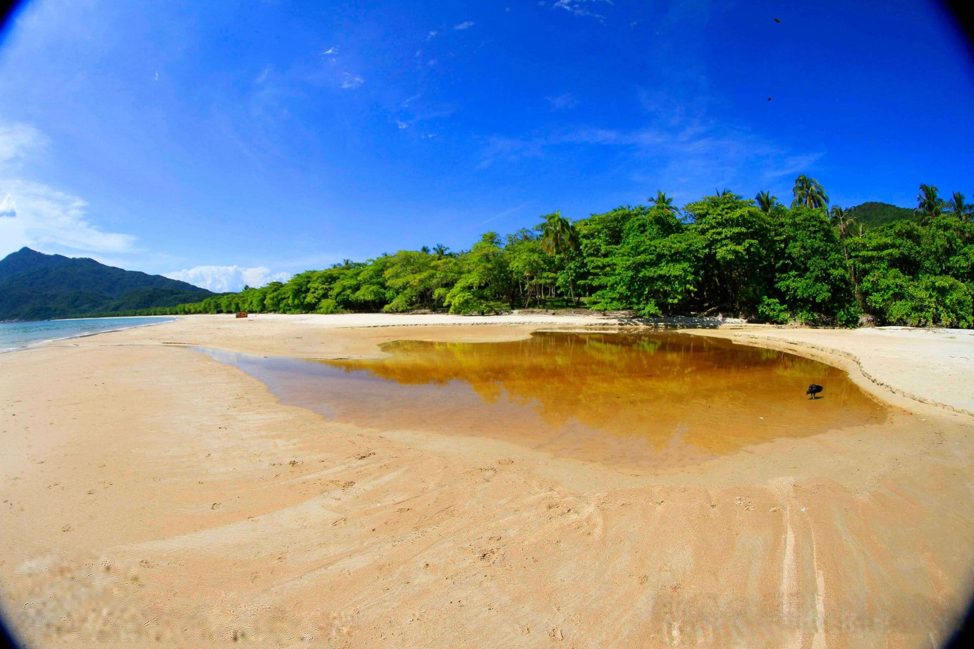 Visita a Playa de Lopes Mendes