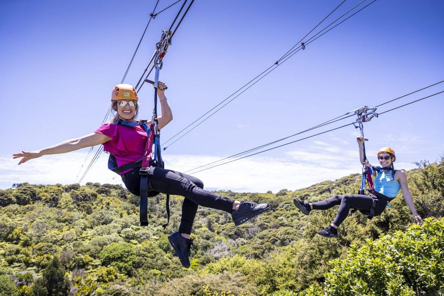 Isla Waiheke: tirolesa y cena con vino premium