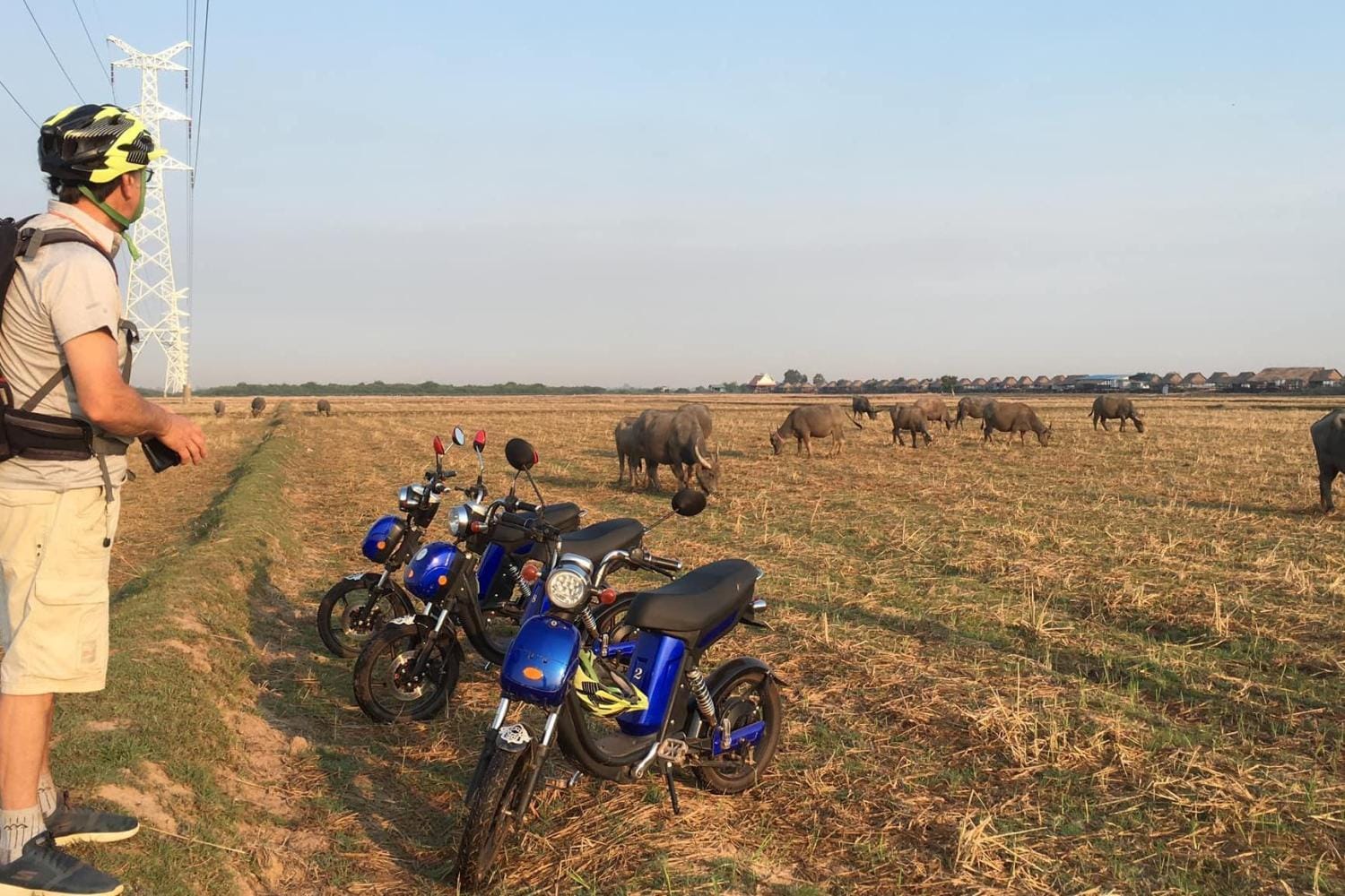 Excursión en bicicleta eléctrica por el campo
