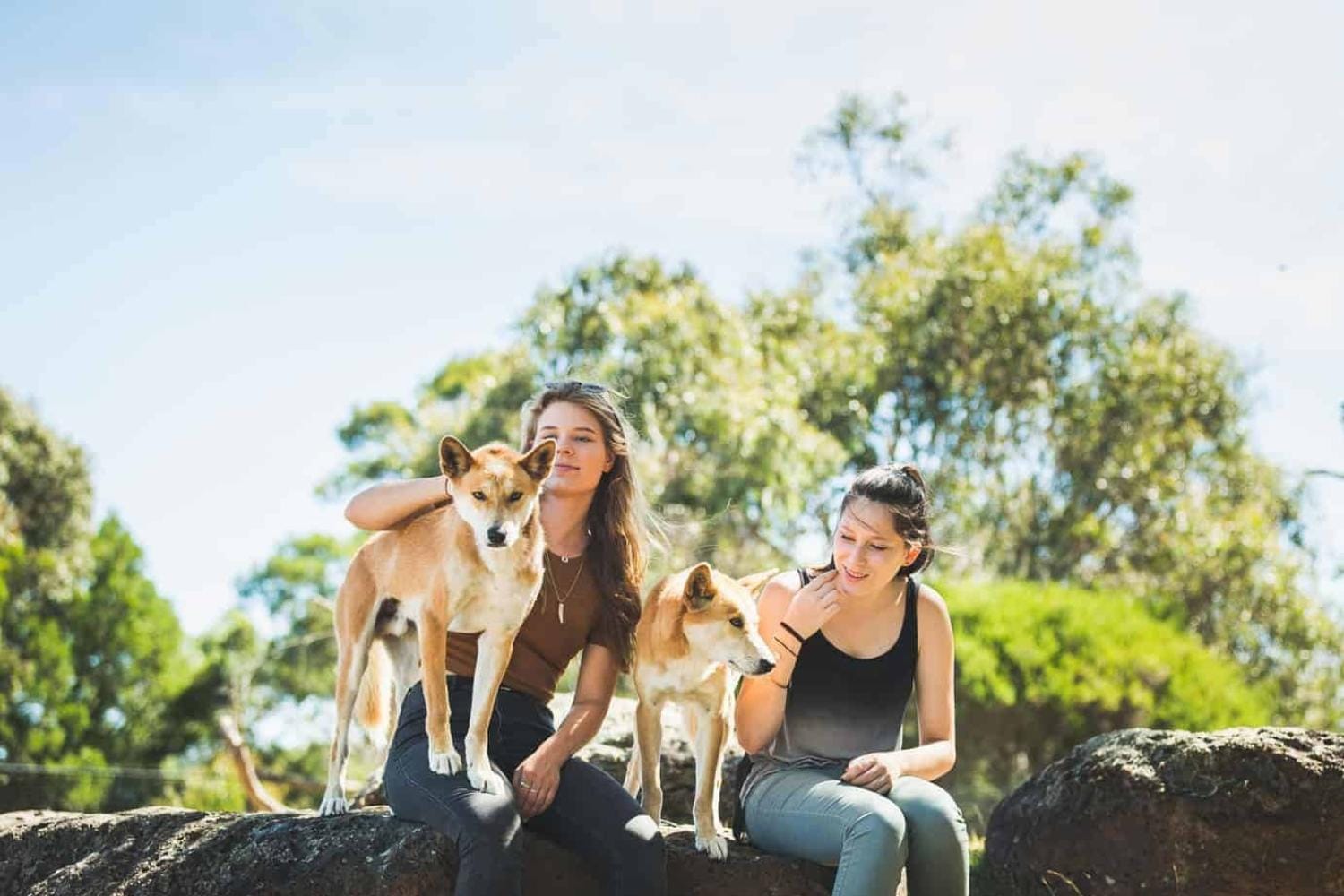 Phillip Island and Moonlit Sanctuary