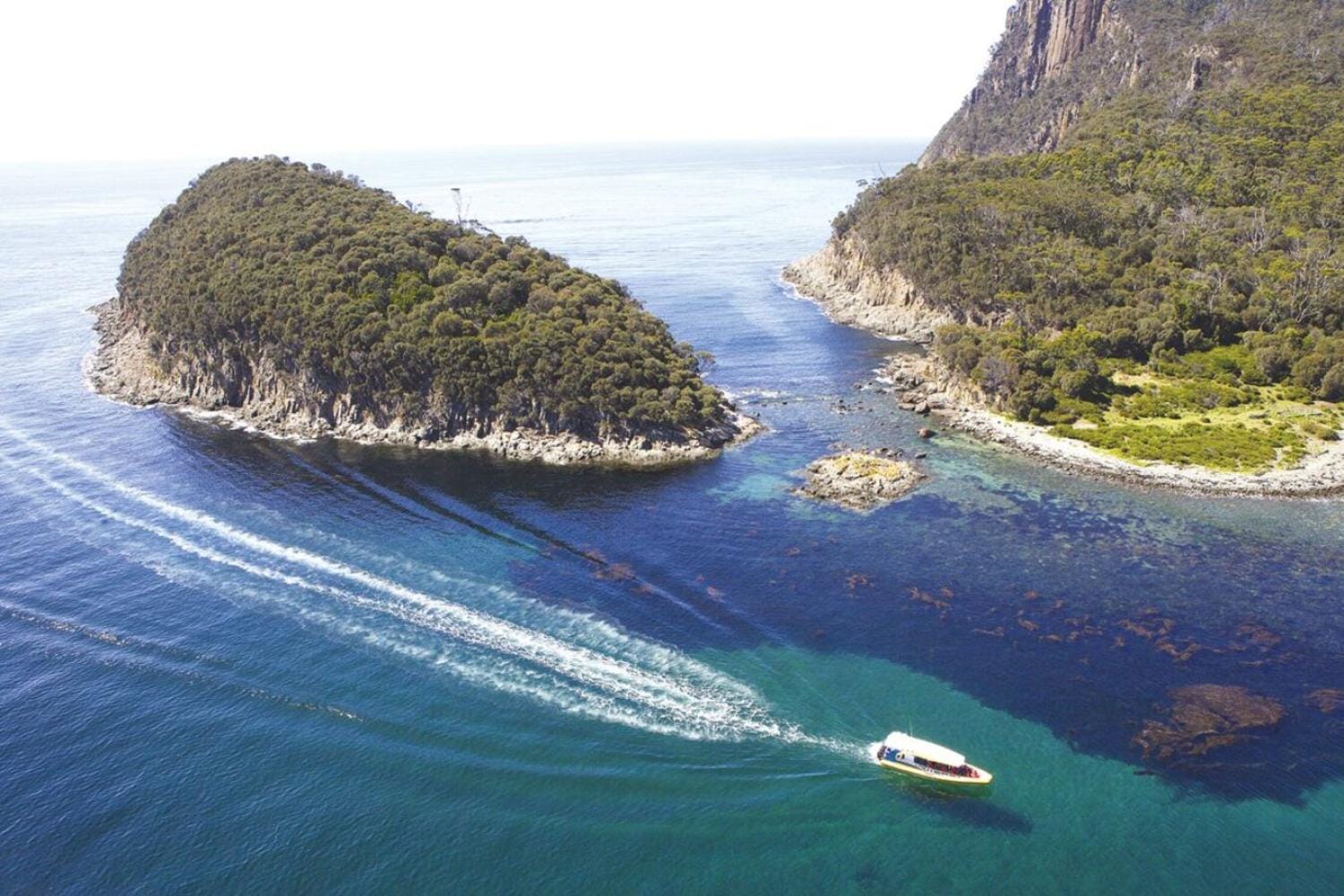 Cruceros por la isla de Bruny - Crucero de 3 horas por la naturaleza salvaje