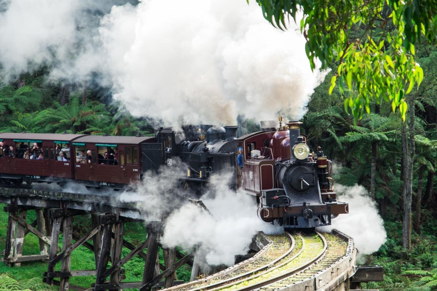Puffing Billy, Healesville Sanctuary and Chocolaterie