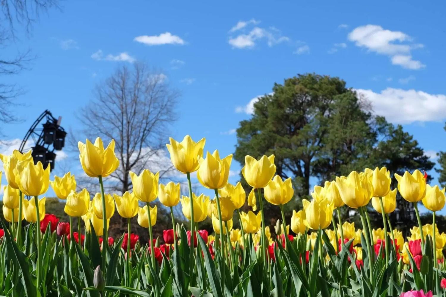 Tour Floriade