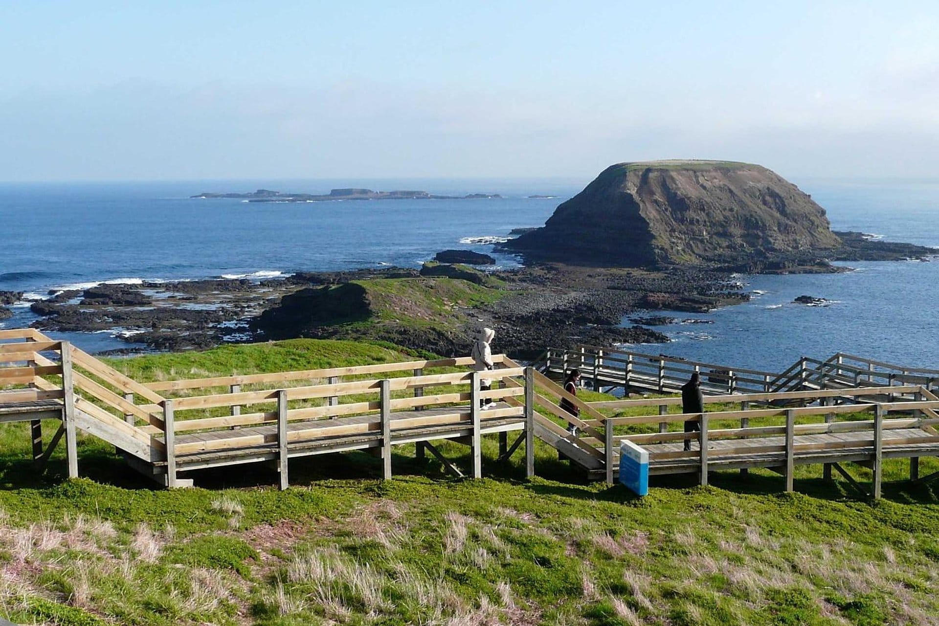 City tour, Phillip Island y santuario