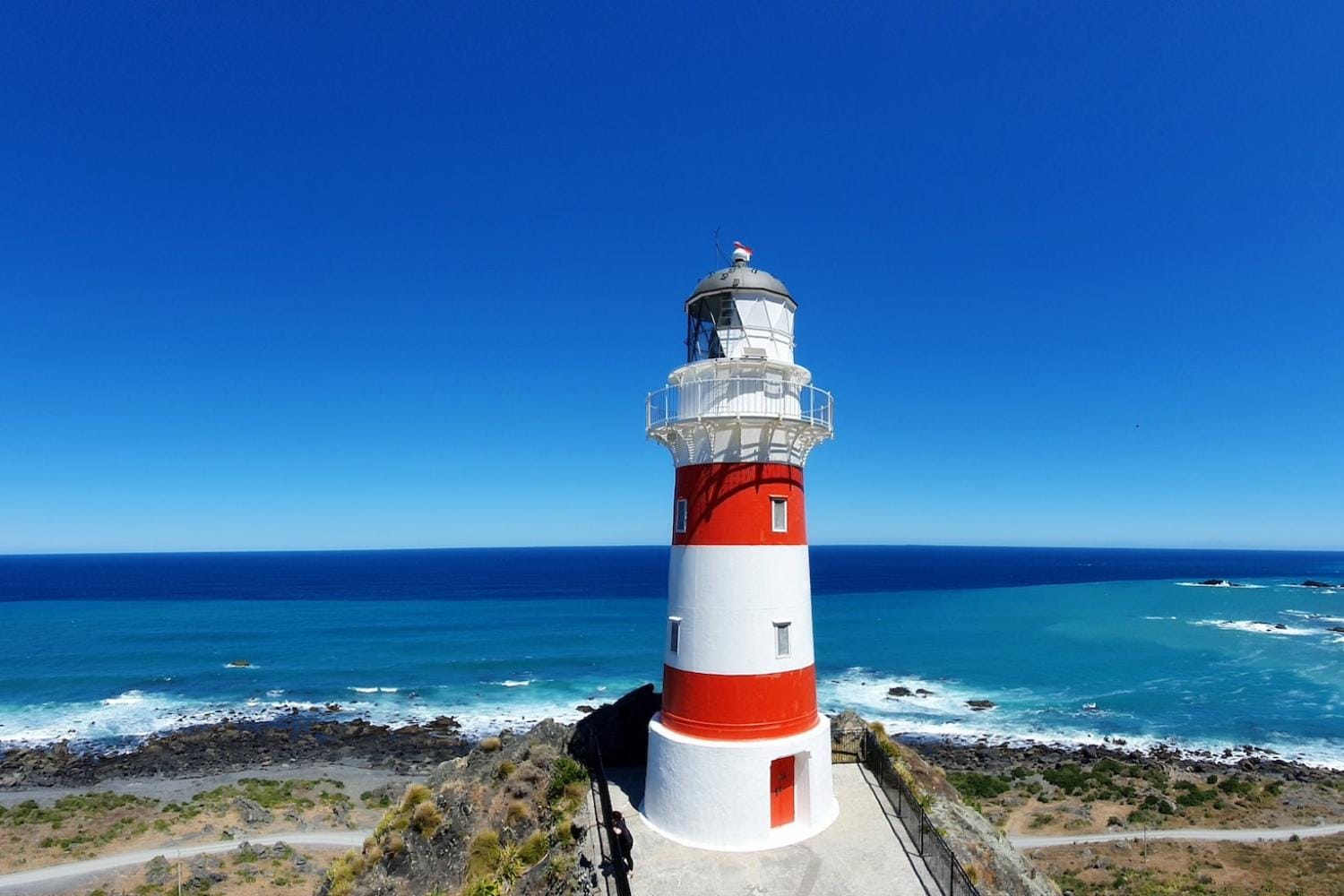 Visita de día completo al faro de Palliser, focas y vino