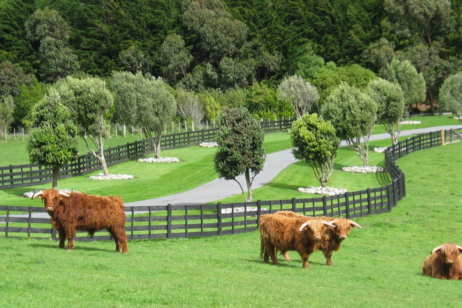 Tour a Shenandoah: tour exclusivo