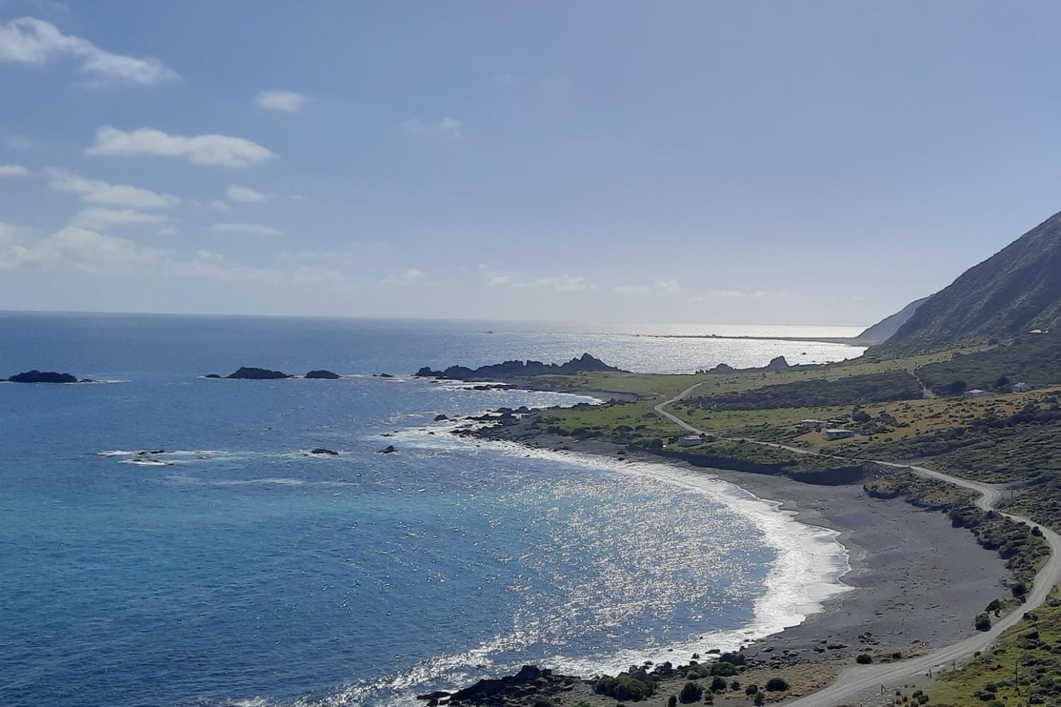 Tour del Vino y Costa Salvaje - Día entero en Wellington