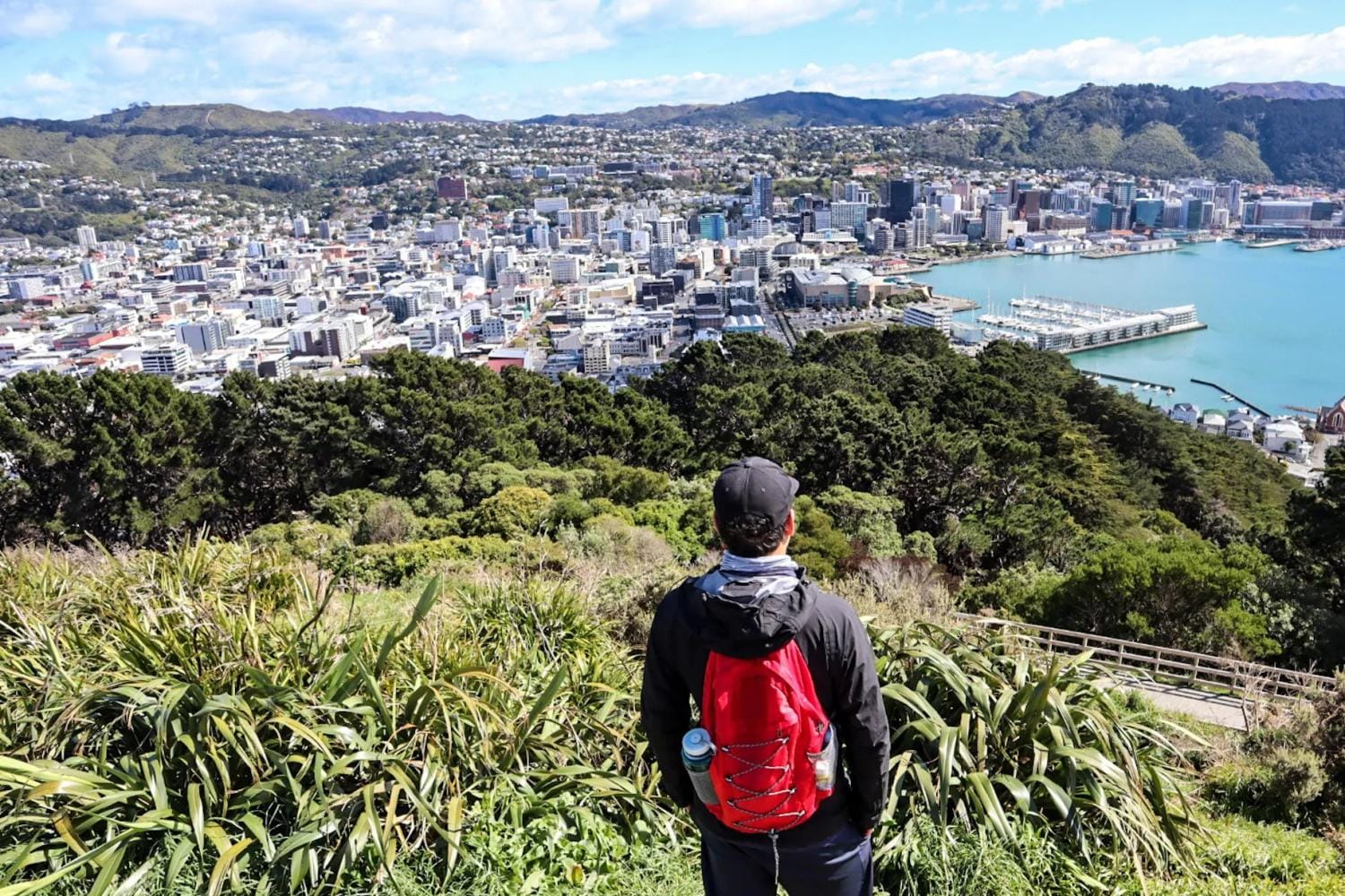 Tour de medio día a Wellington