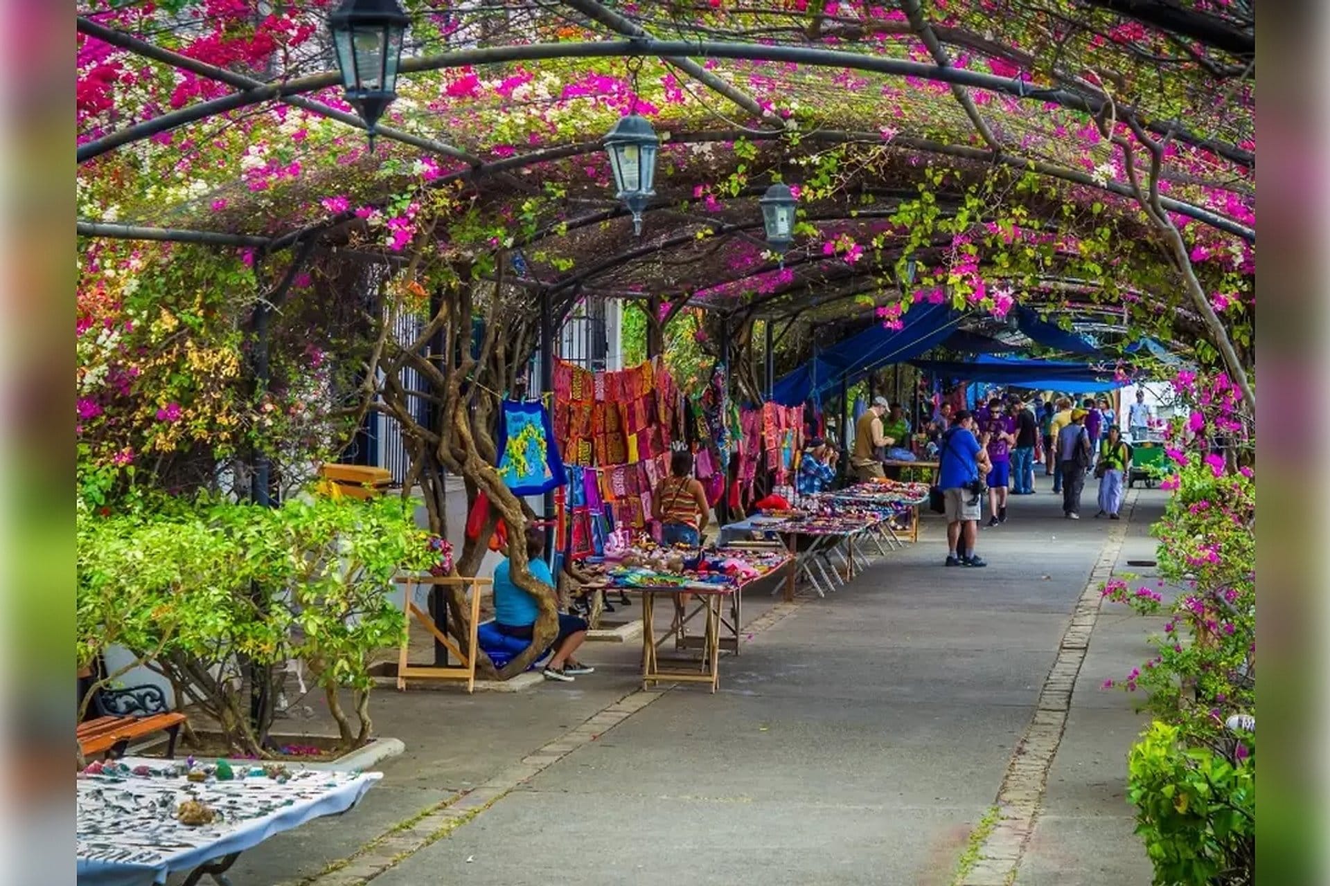 Casco Antiguo, Panamá Viejo e Amador