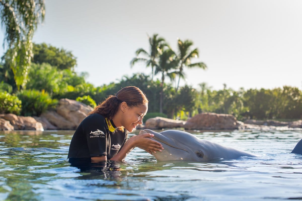 Discovery Cove Orlando Day Resort Package