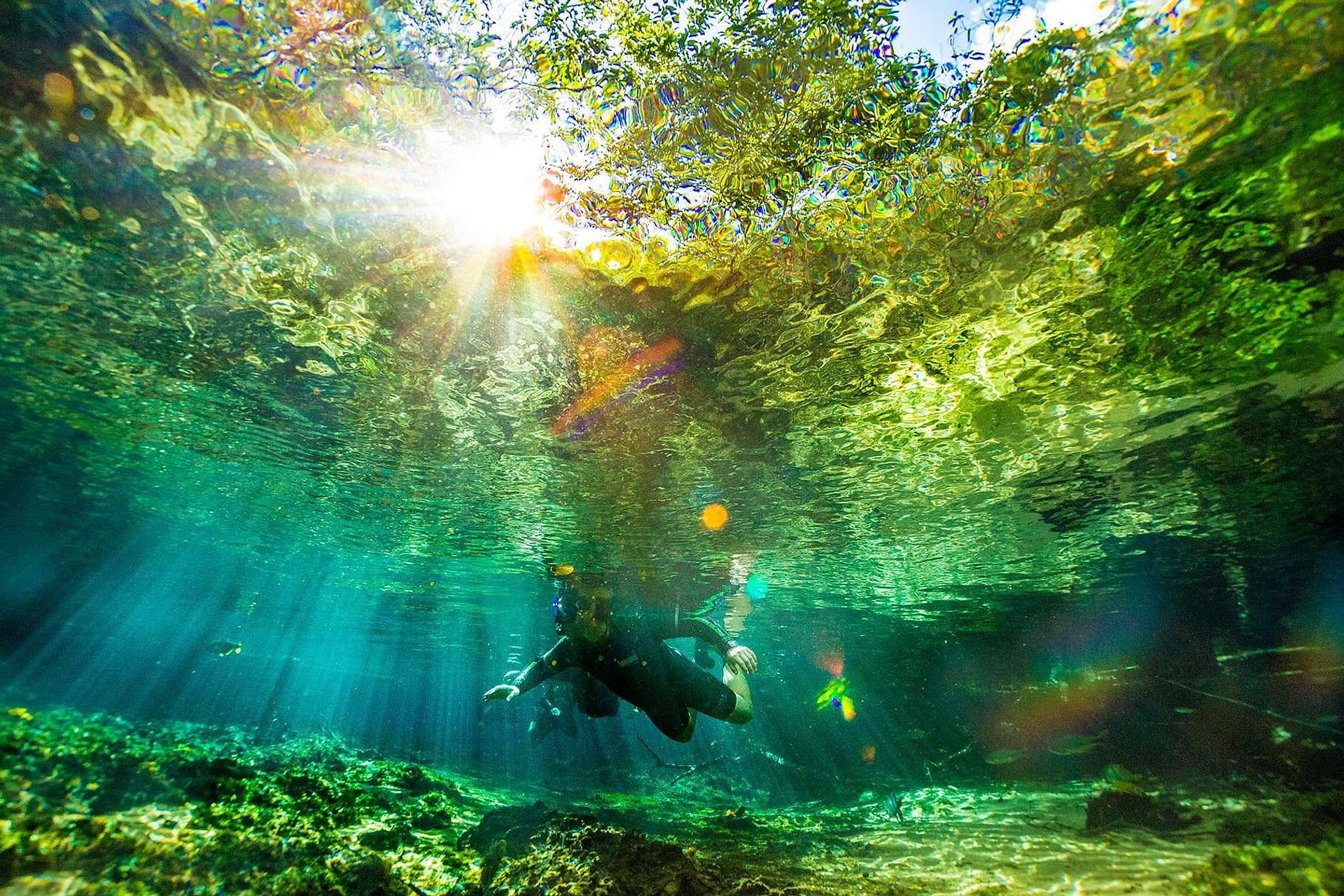 Flotante - Rincón ecológico Rio da Prata