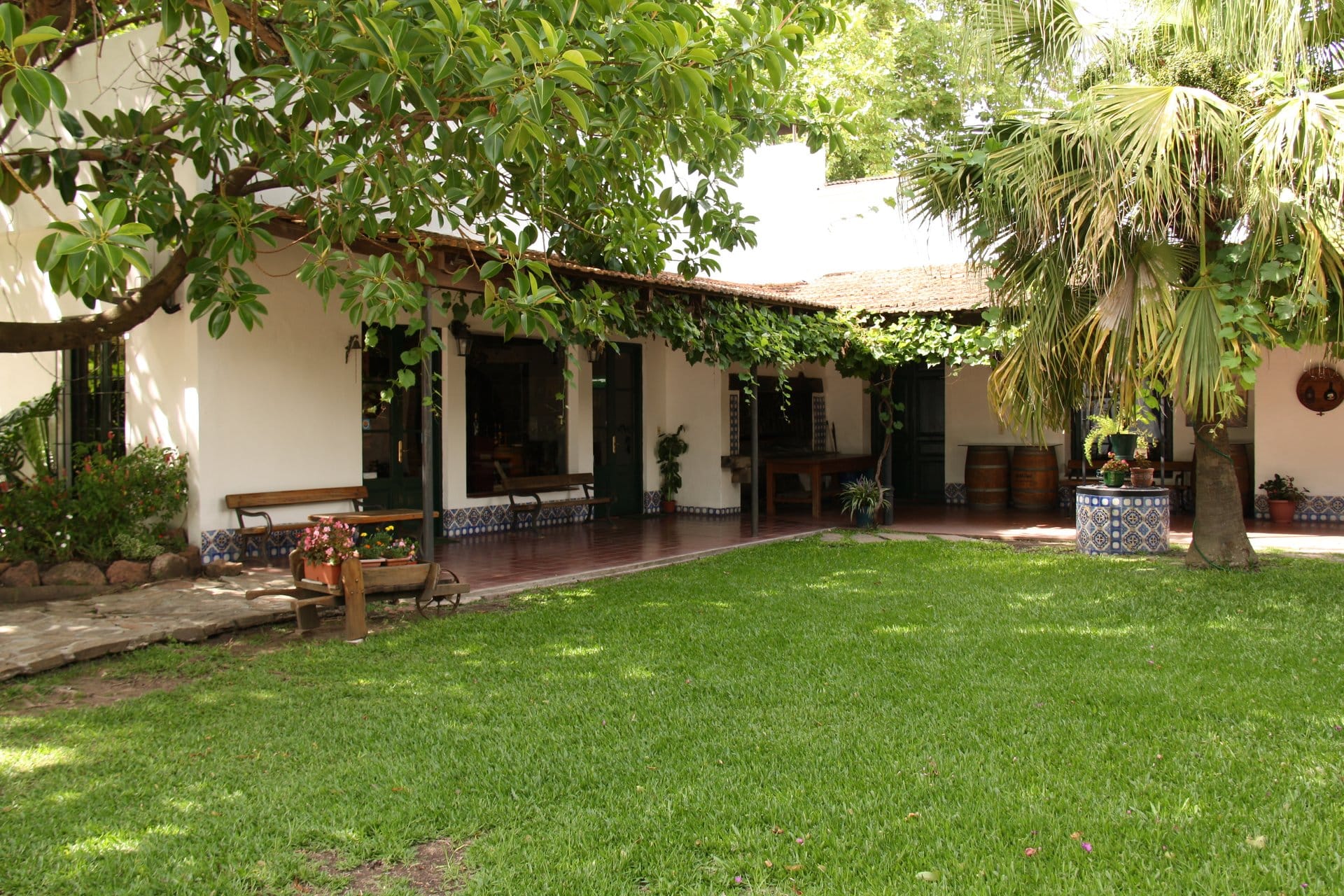 Visit to Carrau Winery