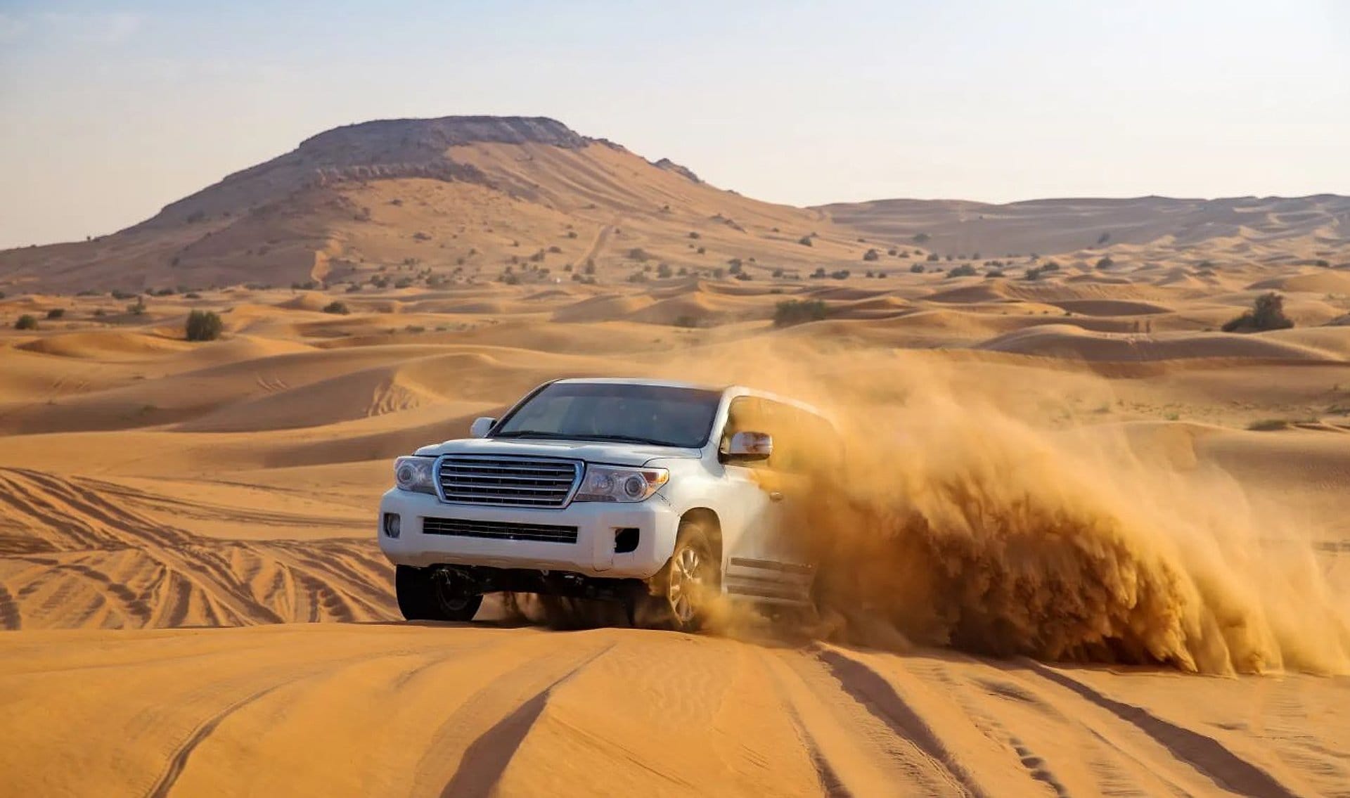 Safari en 4x4 por dunas con cena y show