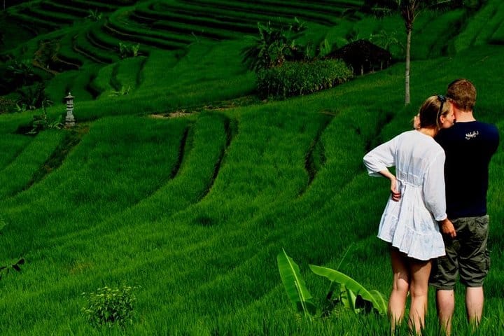 Excursión de día completo a las maravillas de Bali.