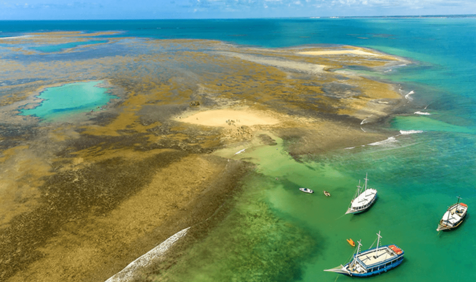 Tour al Recife de Fora