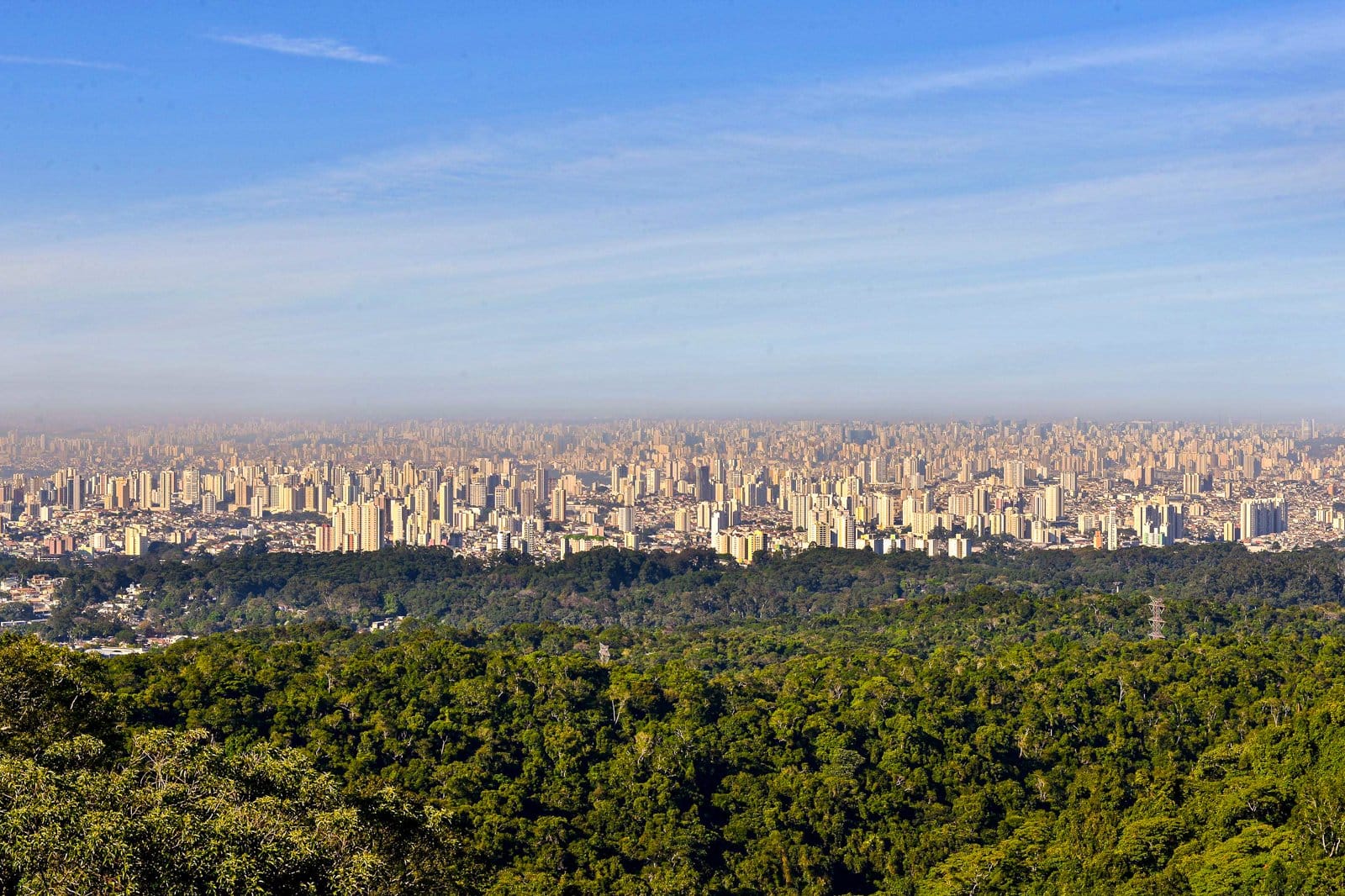 Tour Ecológico por el Parque Estatal Cantareira