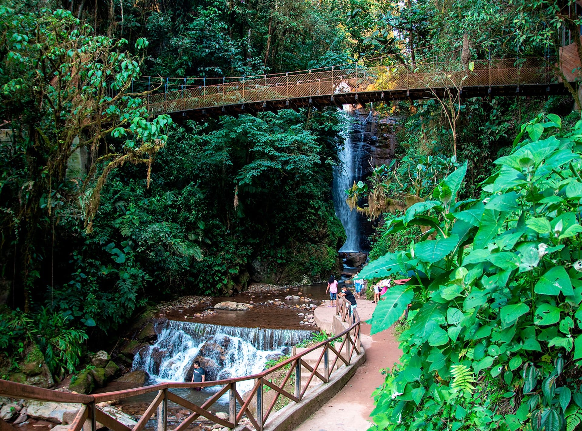 Río Tigre: aguas del Amazonas y selva
