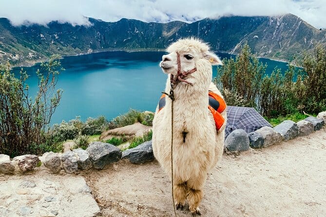 Tour de día completo a Laguna Quilotoa