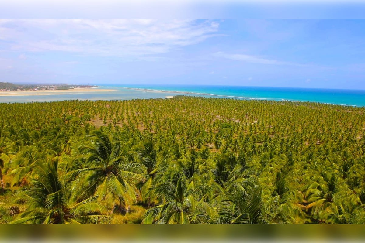 Gunga Beach: Maceió's Hidden Jewel