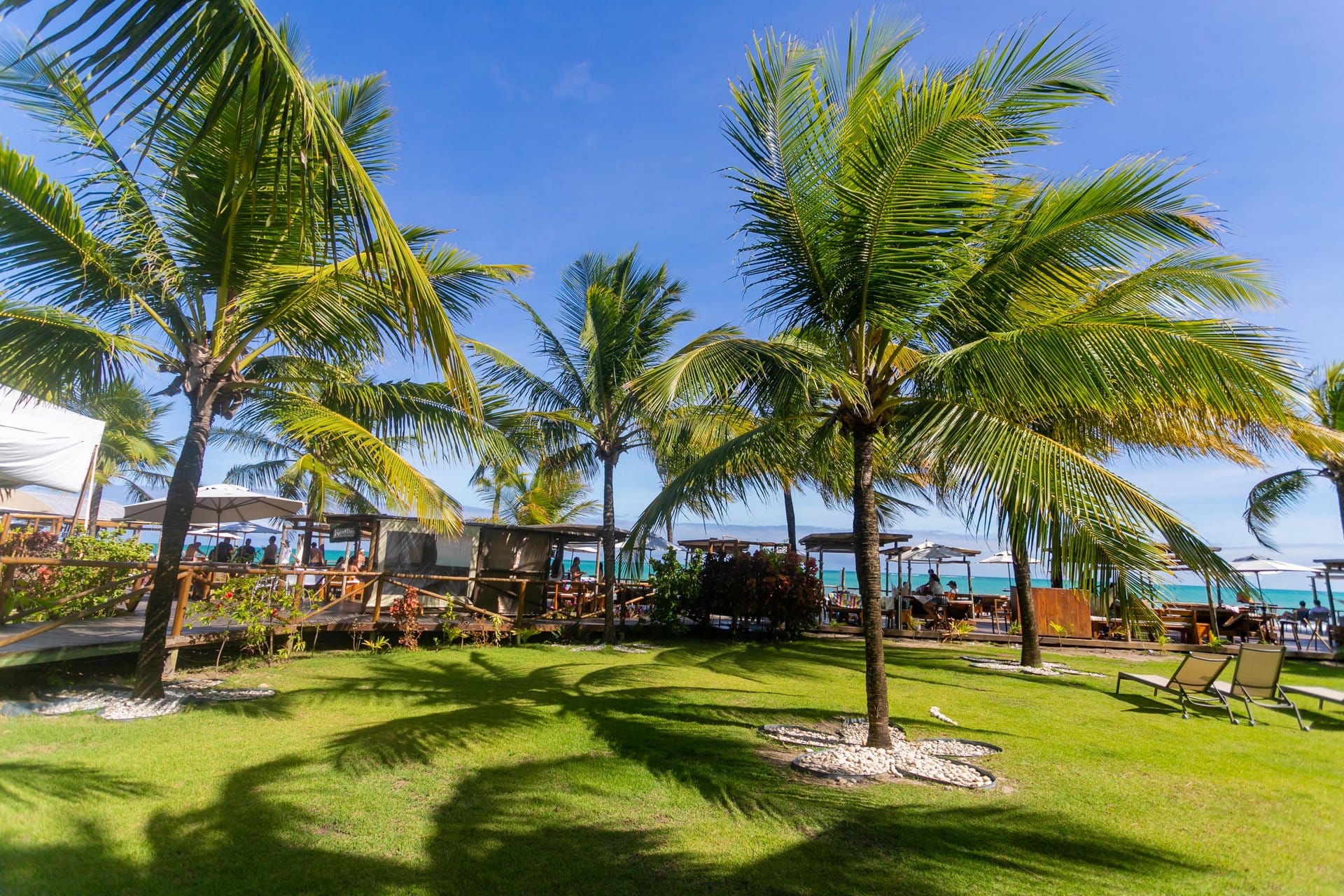 Hibiscus - Ipioca Beach