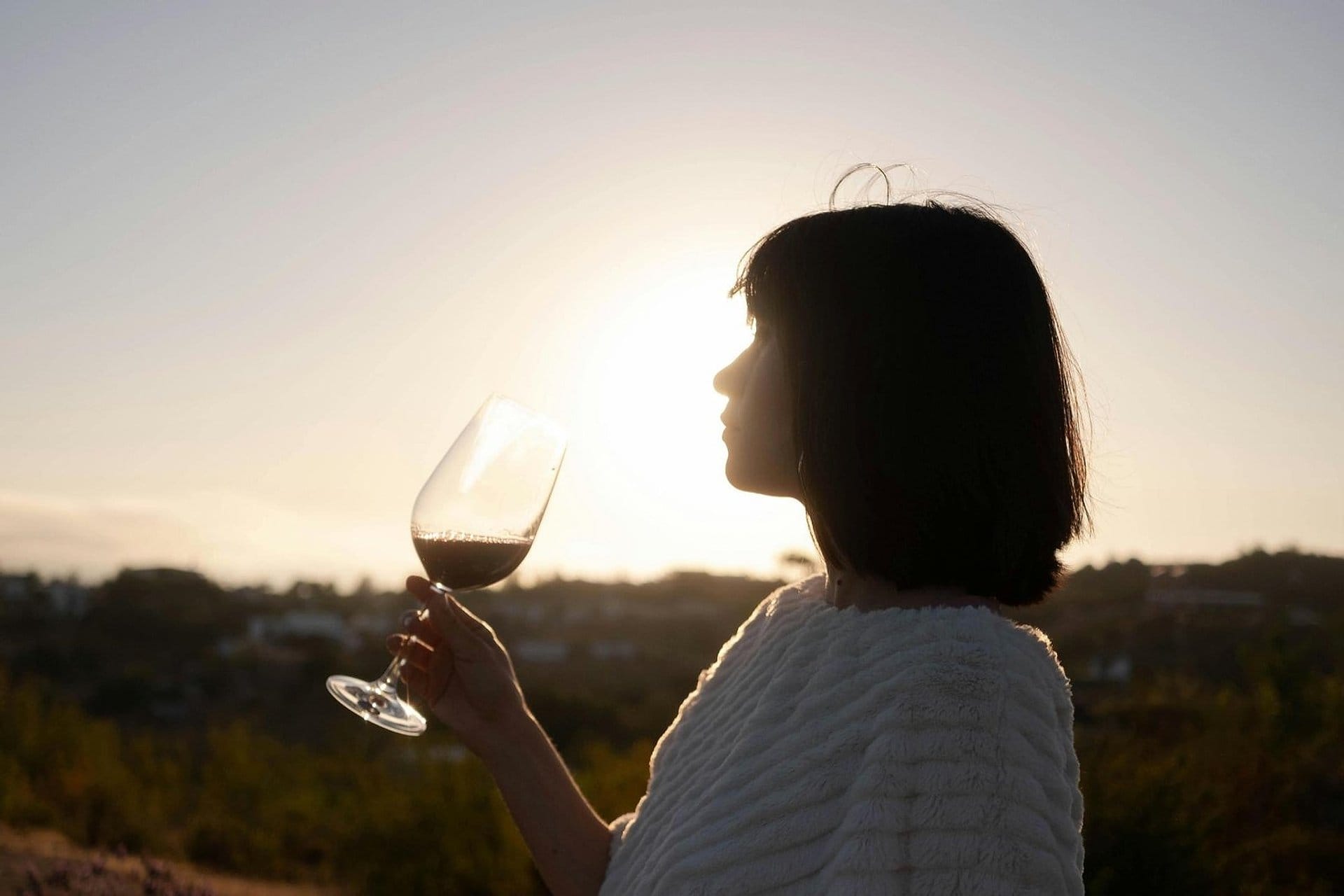 San Juan: Bodegas del Sur en inglés