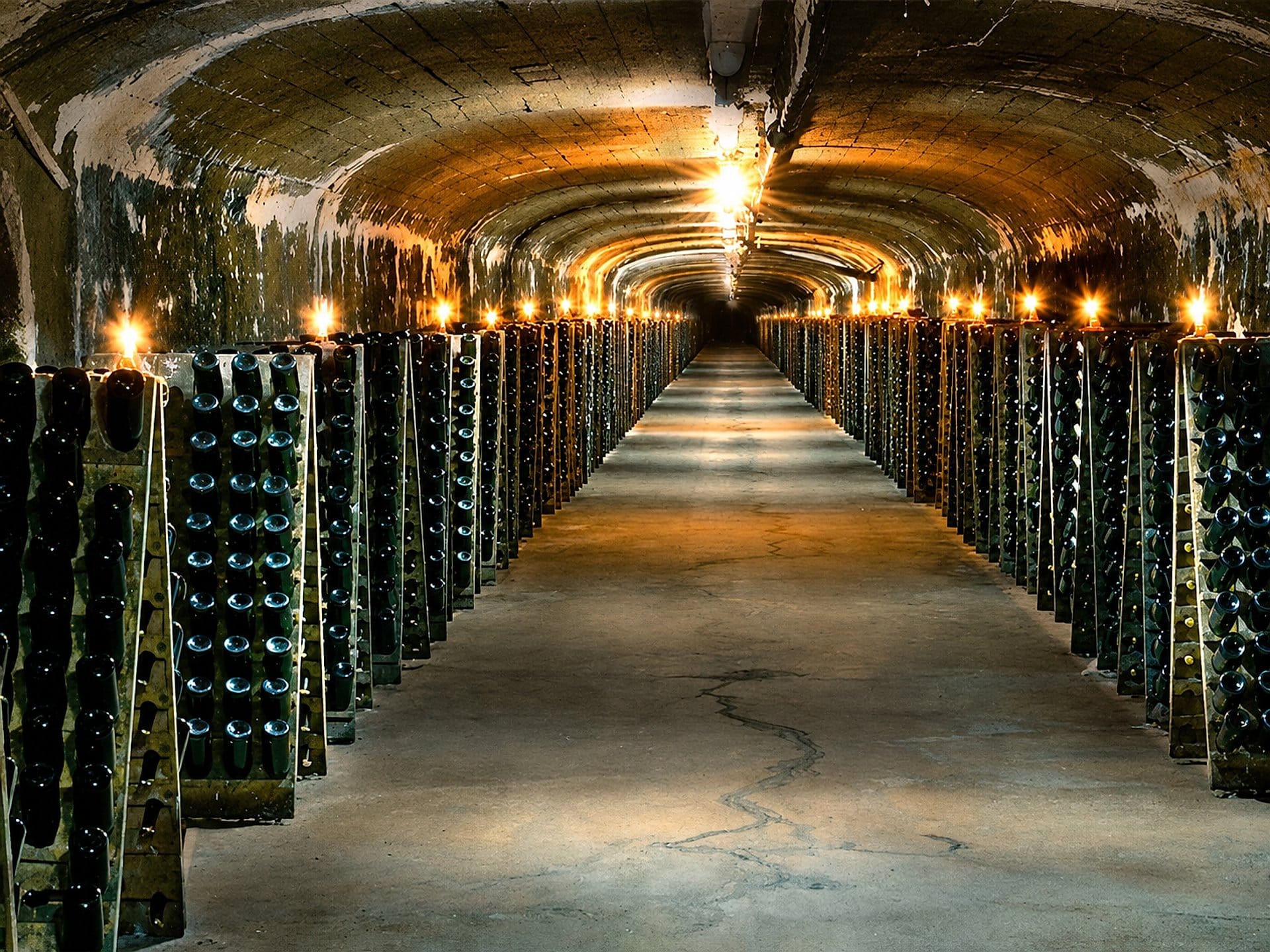 Bodega Santa Rosa: Underground Cellar