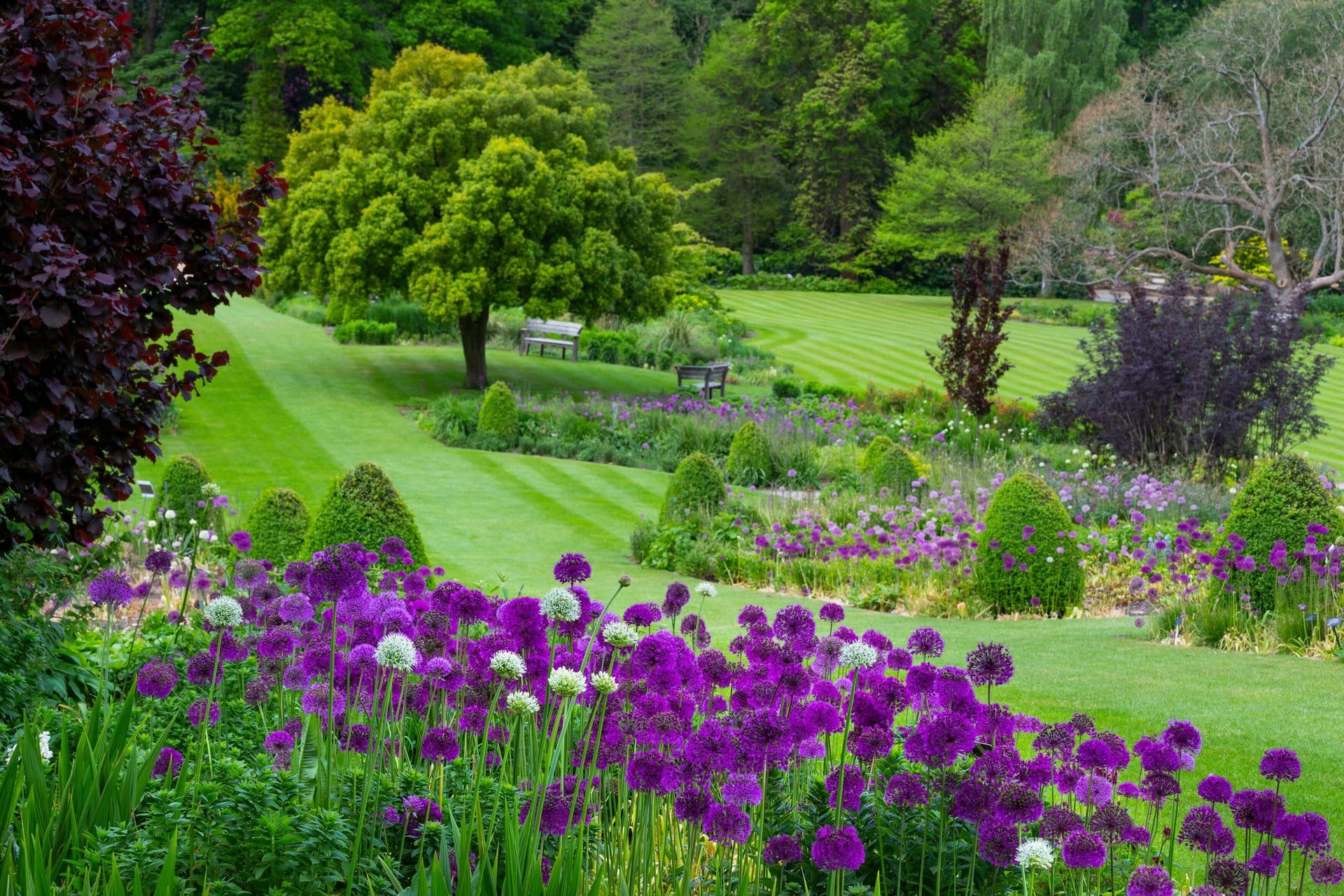 Jardín RHS Harlow Carr