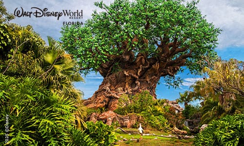 Disney Animal Kingdom: ticket de 1 día