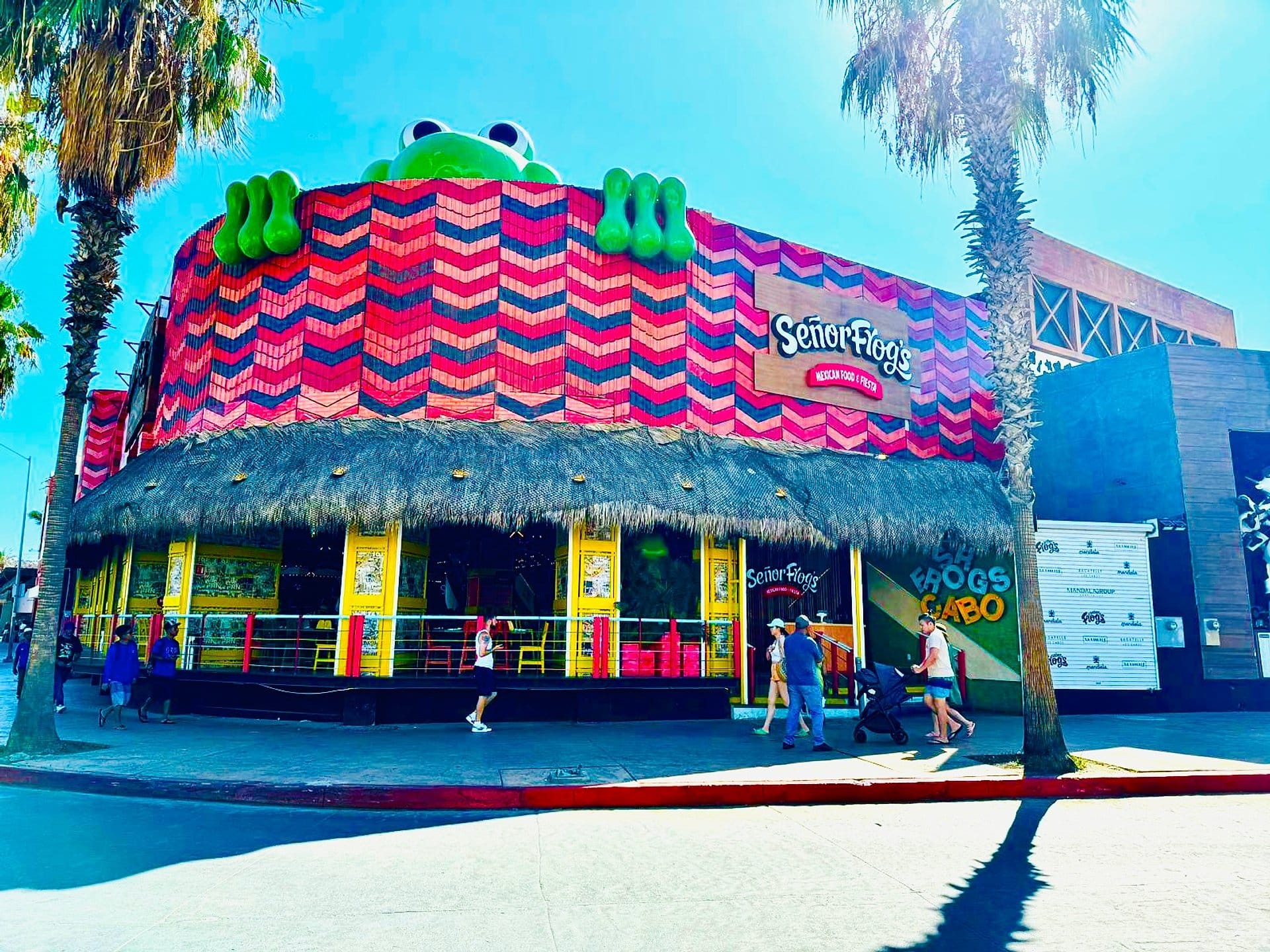 Passe Frog's Los Cabos