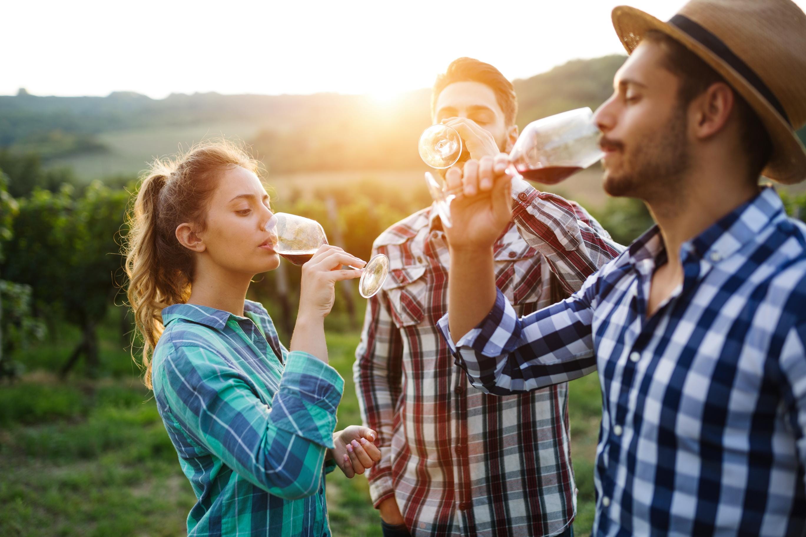 Excursión a las bodegas rumanas desde Bucarest
