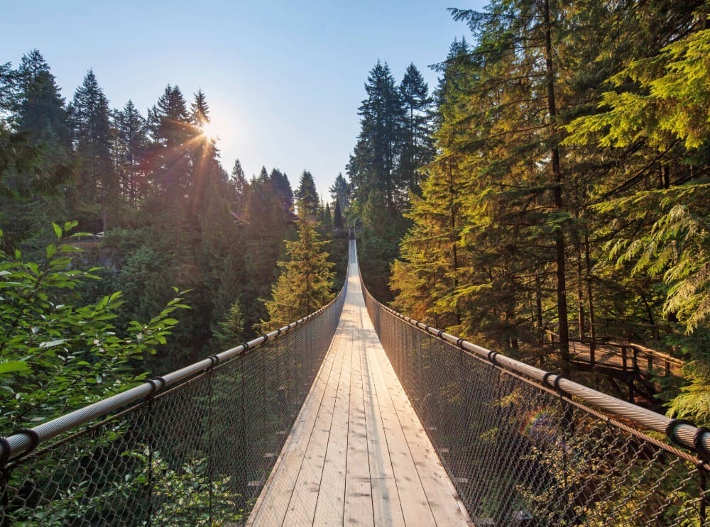 Vancouver Downtown Tour with Entry to Capilano Suspension Bridge Park