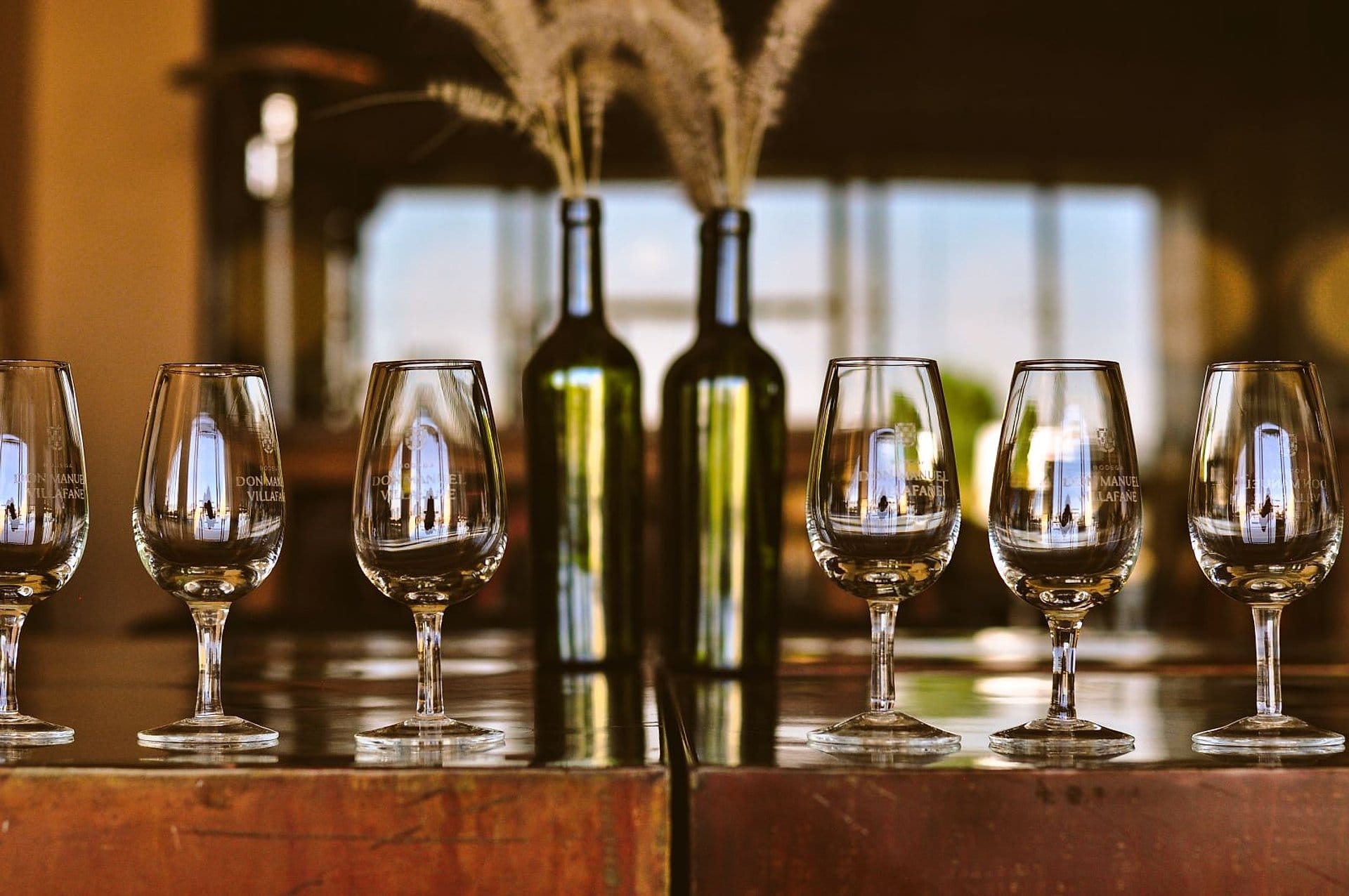 Ruta del Vino y Aceite de Oliva