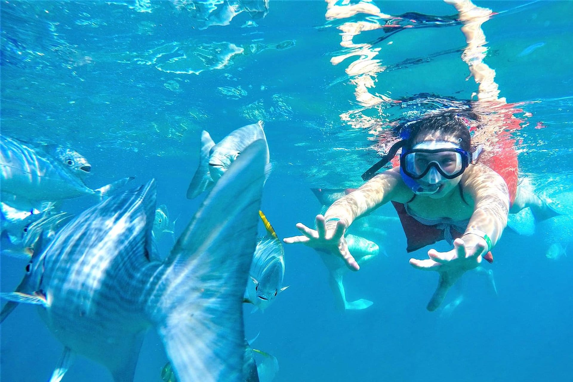 Mergulho de luxo na Bahía de Banderas