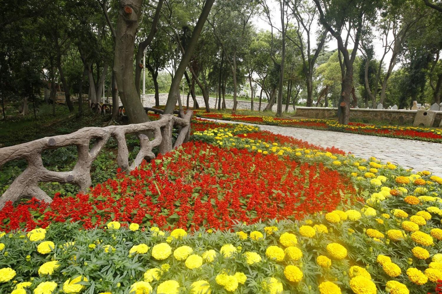 City tour Tesoros de Estambul - Full day