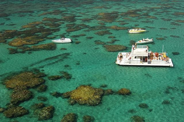 Maracajaú - Experiencia en el Caribe del Rio Grande do Norte