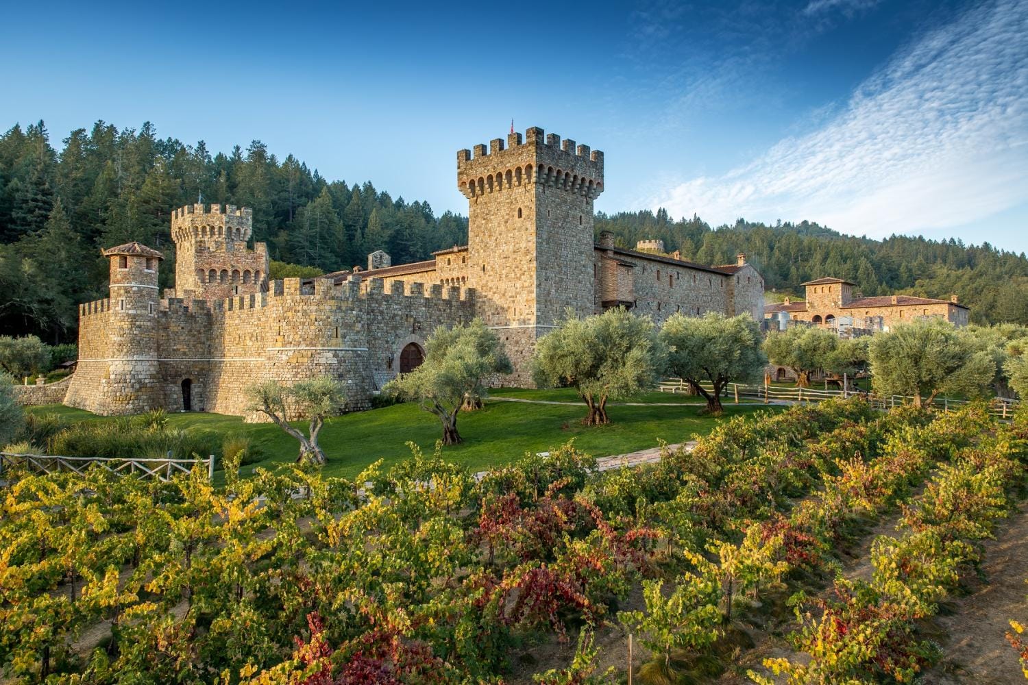 Exclusivo tour de cata de vinos y gastronomía del Valle de Napa (grupo reducido)