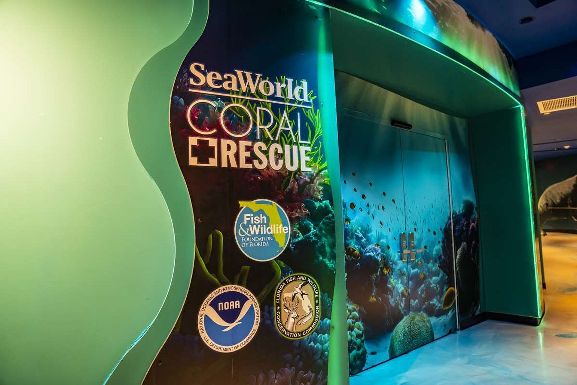 Orlando's Best Marine Theme Park - Imagen 2