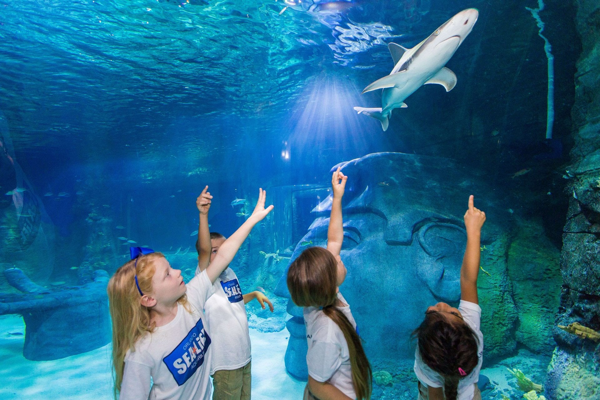 Entrada combinada Madame Tussauds y Sea Life - Imagen 4