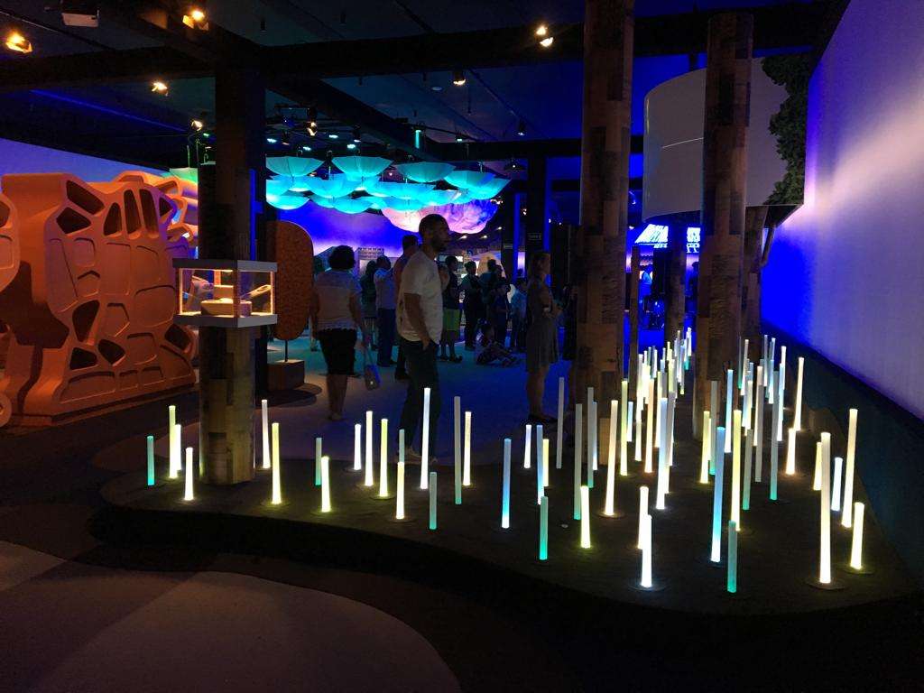 Aqua Rio y Museo del mañana. Imperdible!! - Imagen 4