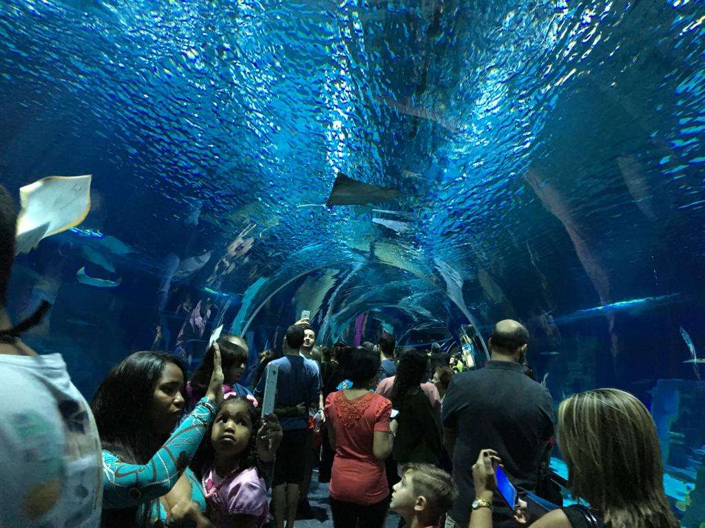 Aqua Rio y Museo del mañana. Imperdible!! - Imagen 2