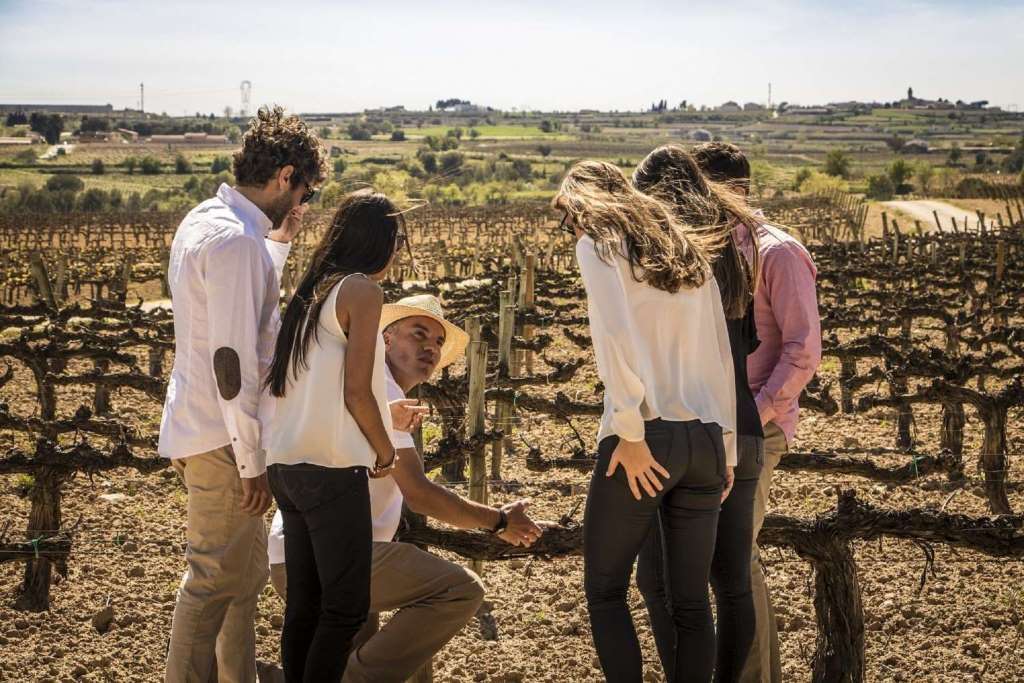 Vino y Cava con Tapas en unos Viñedos con Ruta en 4WD Experiencia desde Barcelona - Imagen 2