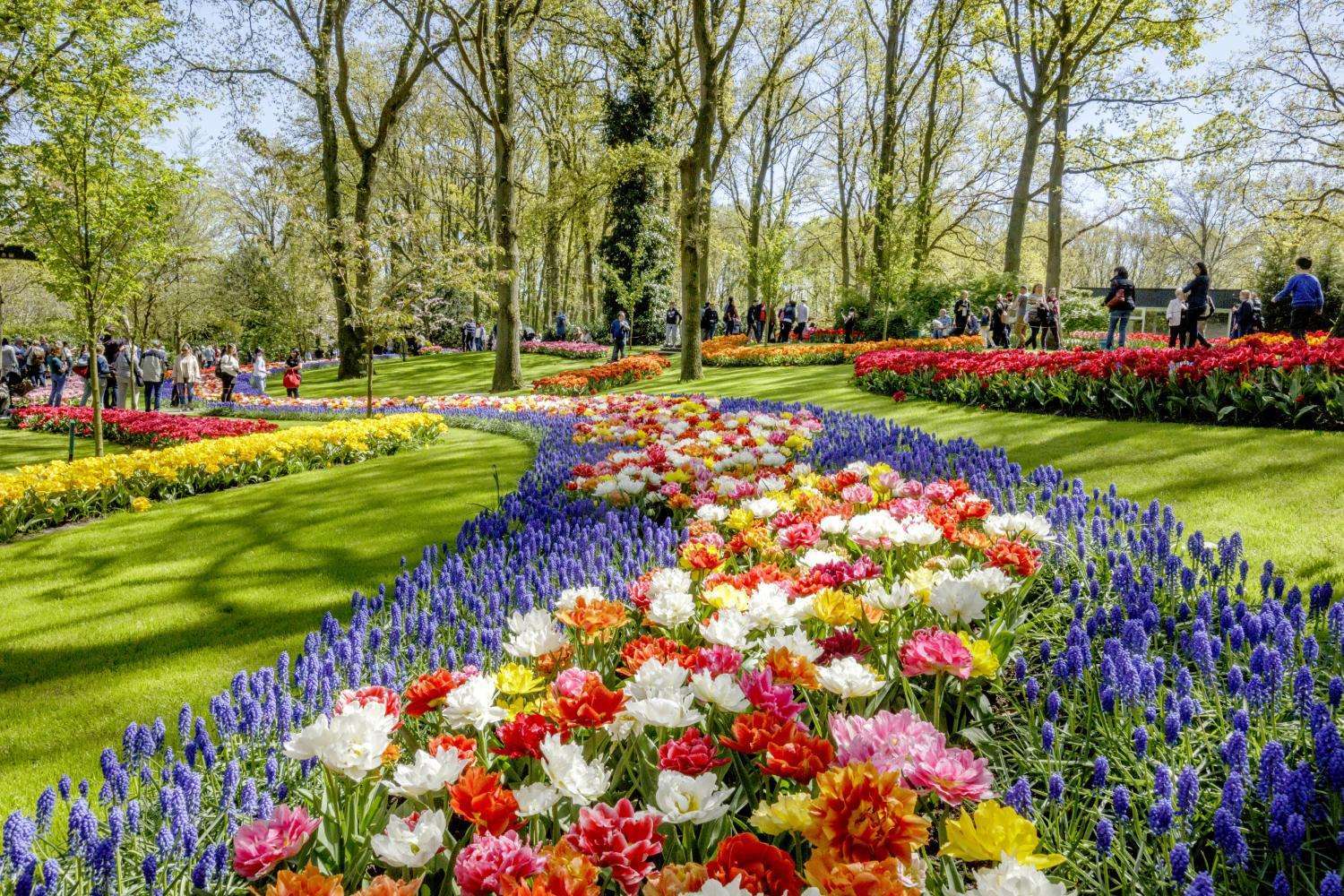 Keukenhof - Ticket con traslado audioguiado y crucero por los canales - Imagen 3