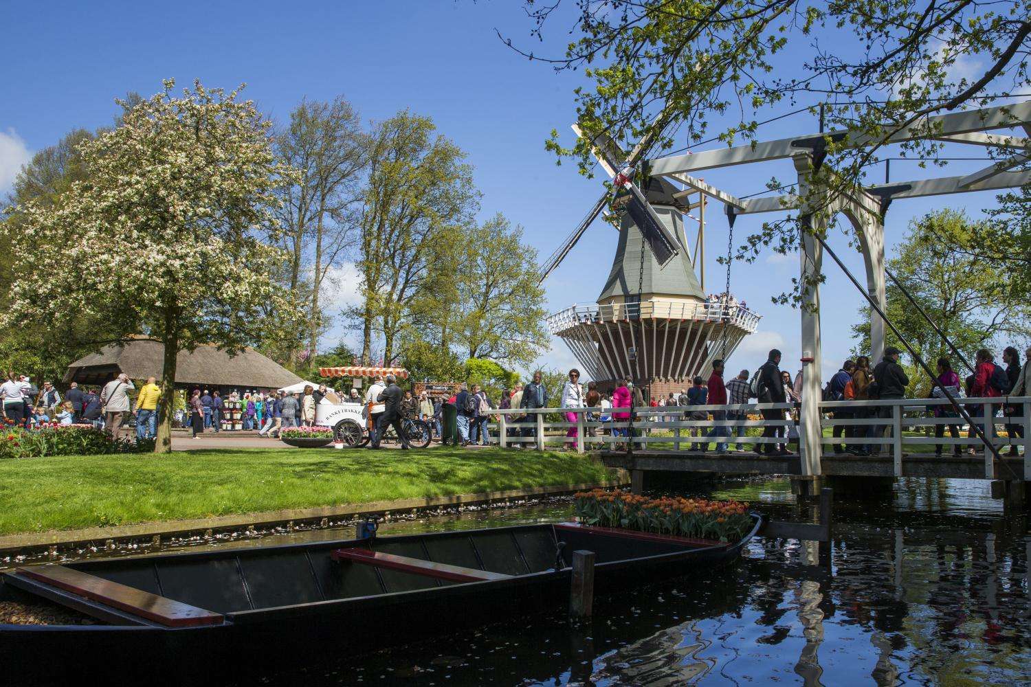 Entrada a Keukenhof y transporte directo desde Ámsterdam - Por la tarde - Imagen 3