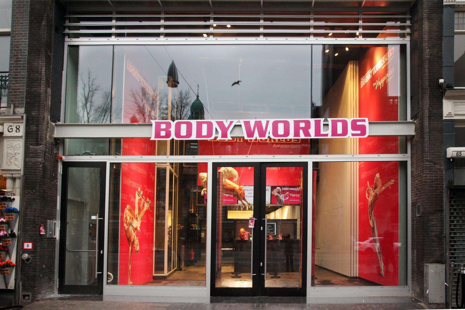 Entrada para Body Worlds Ámsterdam - Imagen 2