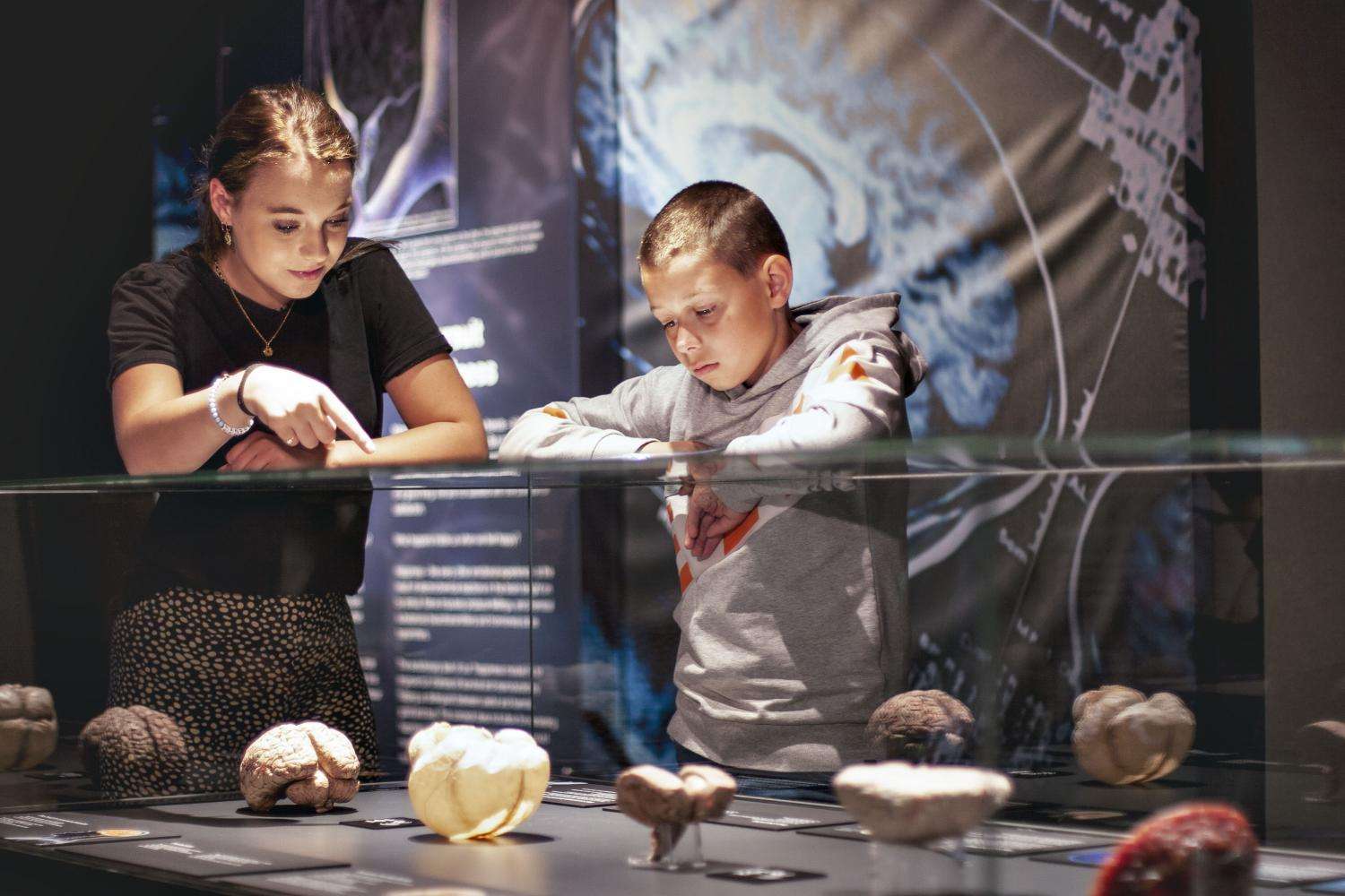 Body Worlds The Happiness Project y crucero por el canal de 1 hora - Imagen 3