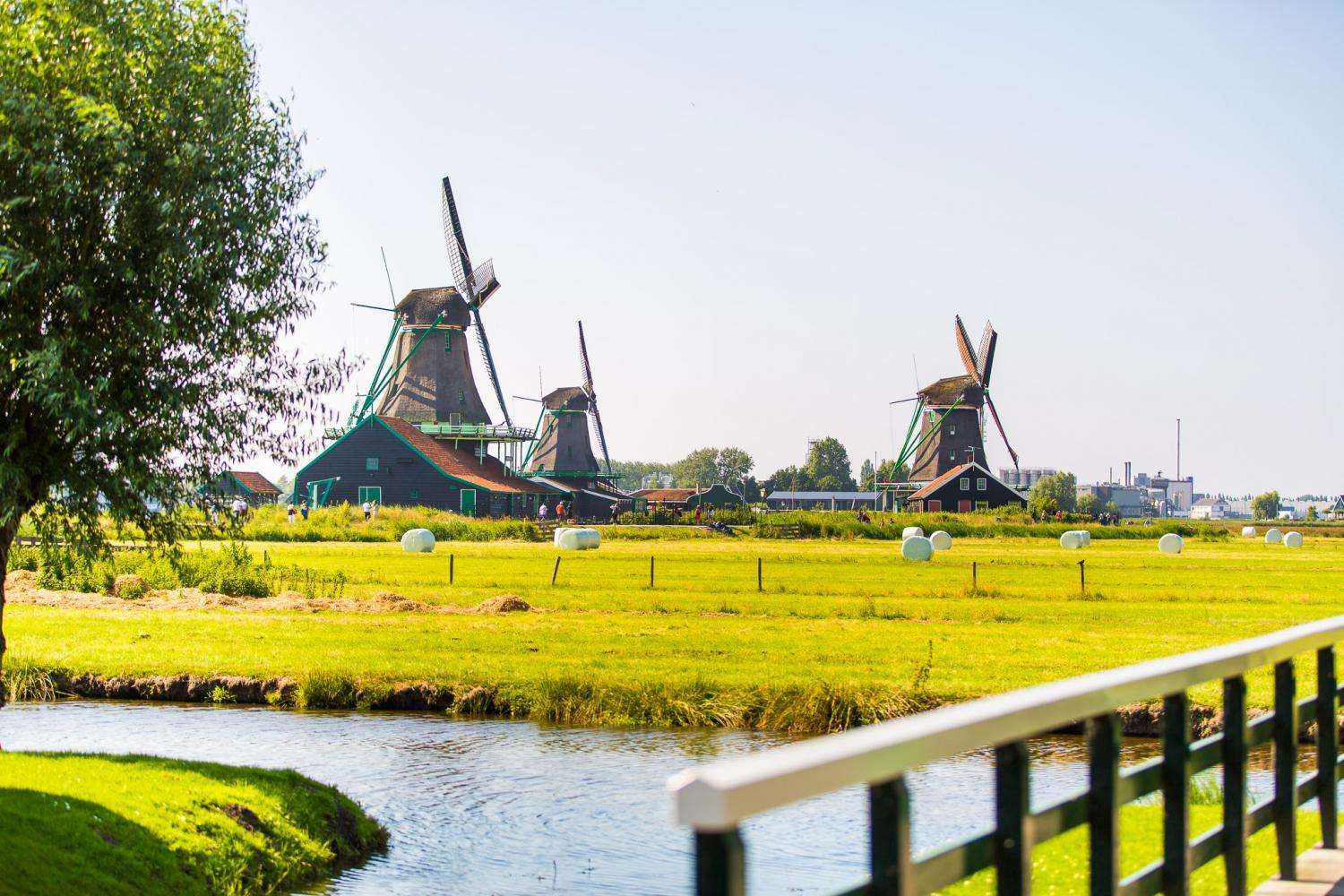 Super Combo: jardines de Keukenhof + molinos de viento y campo - Imagen 3