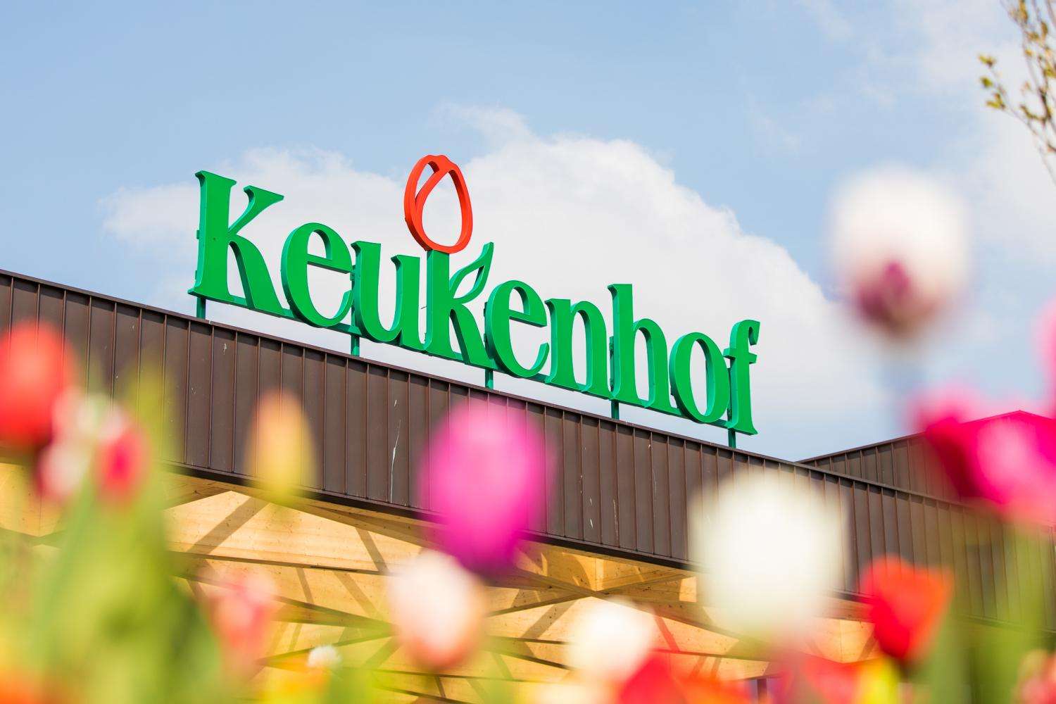 Entrada Keukenhof y traslado directo desde Ámsterdam - Imagen 3