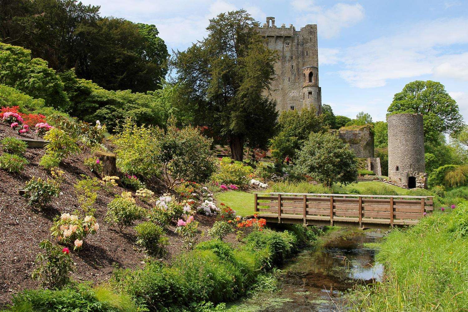 Blarney Castle and Cork Day Tour - Imagen 4